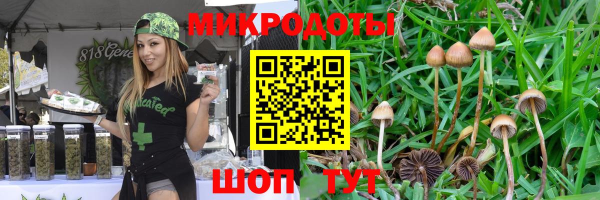 Псилоцибиновые грибы мухоморы  Вход с VPN  Псилоцибиновые грибы Psilocybine cubensis  Анжеро-Судженск 